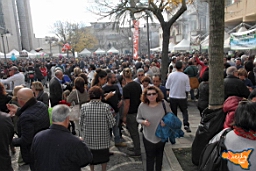 Santa Ninfa 19 11 2016 293.jpg